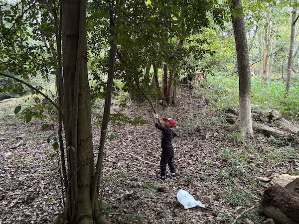 ひよどり越え森林公園1