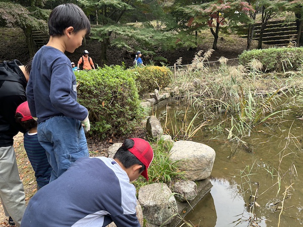 ひよどり越え森林公園2